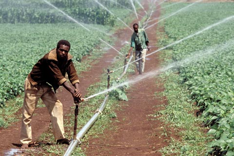 investing-african-agriculture-2